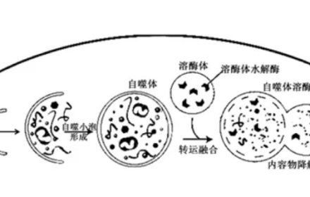 科研绘图服务常见问题解答